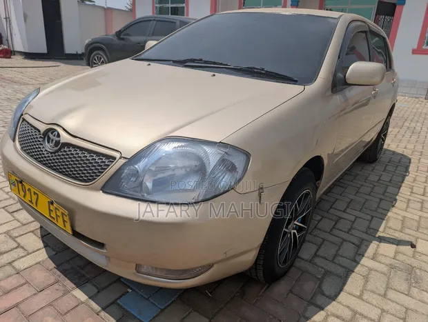 Toyota Corolla RunX 2006 Gold - 1