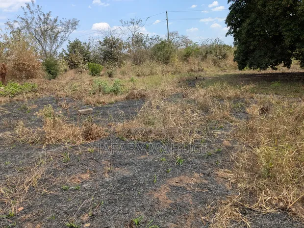 Land for Sale in Ruangwa, Mabuja - 1