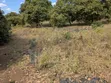 Land for Sale in Ruangwa, Mabuja - 2