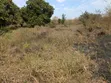 Land for Sale in Ruangwa, Mabuja - 3