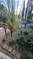 Studio Apartment Yenye Samani kwa Ajili ya Kupanga, Bahari Beach, Kunduchi - 1