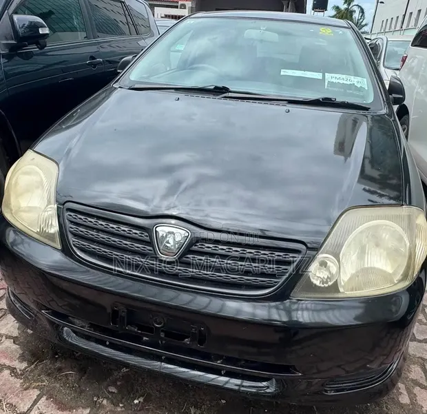 Toyota Allex 2005 Black - 1