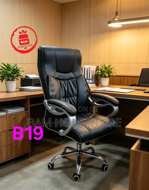 Kiti cha Ofisi cha Ngozi cha Mtendaji - Kiti cha Dawati cha Ergonomic (Model B19) - 1