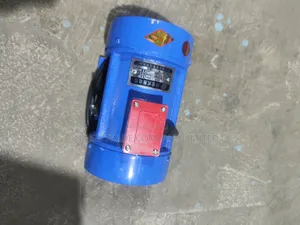 Tianpeng Int Concrete Vibrator 0.55kW