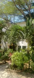 Furnished 2-Bedroom Apartment for Rent in Swedi Property, Mikocheni - 2