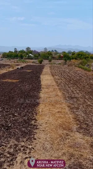 Land for Sale in Olmot, Arusha - Near AFCON Stadium