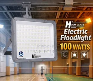 High Class 100W Electric Floodlight