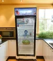 Commercial Pmax Showcase Fridge 190L Beverage Cooler - 2
