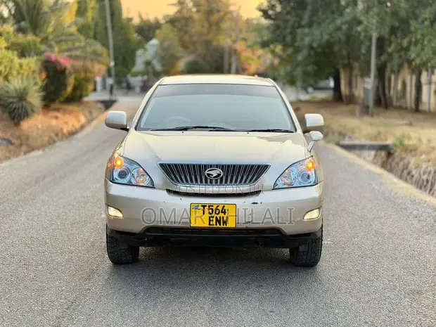 Toyota Harrier 2006 Beige Metallic - 1
