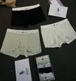 Hermes Men's Boxer Briefs - 2