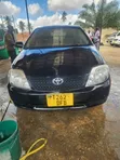 Toyota Corolla RunX 2004 Blue - 1