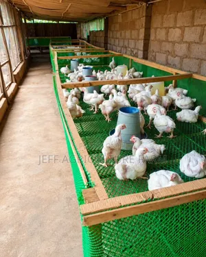 Chicken Coop Netting - Full Roll