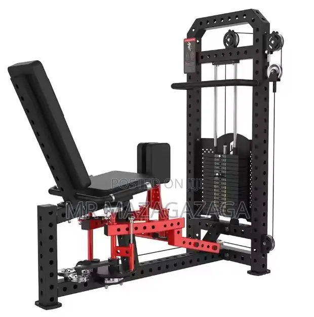 Bodyfit Leg Adduction and Abduction Machine - 1