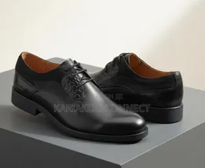 Men's Clarks Leather Shoes