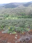 2100 Acre Farm for Sale in Njombe - 1