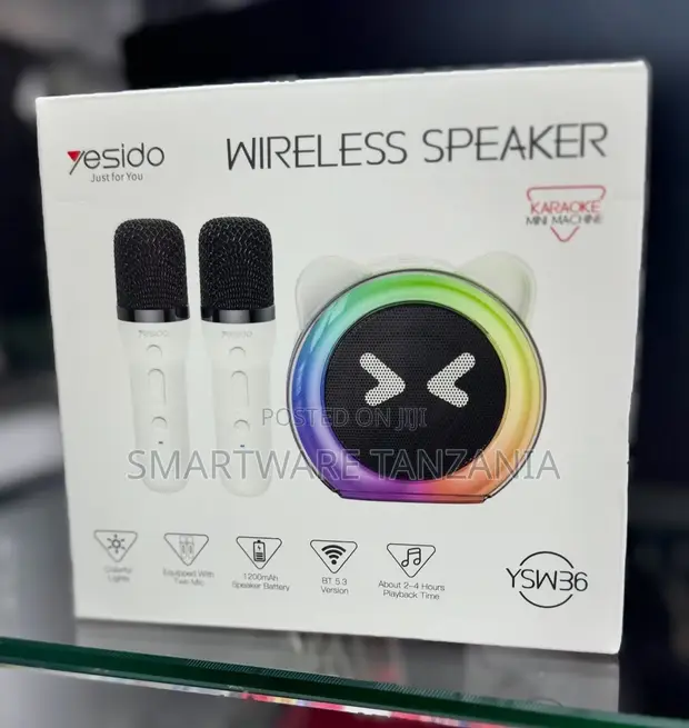 Yesido YSW36 Wireless Karaoke Speaker with Dual Microphones - 1
