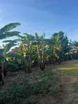 Mwandege Land with House (3500 sqm) - 2