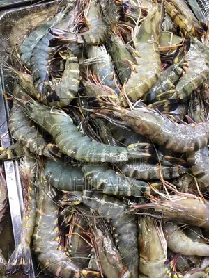 Jumbo Prawns - Wholesale & Retail