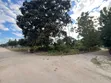 Commercial Plot for Sale in Zinga, Bagamoyo - 4