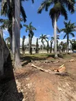 Prime 3rd Beach Plot for Sale at Mbezi Beach - 1