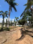 Prime 3rd Beach Plot for Sale at Mbezi Beach - 4