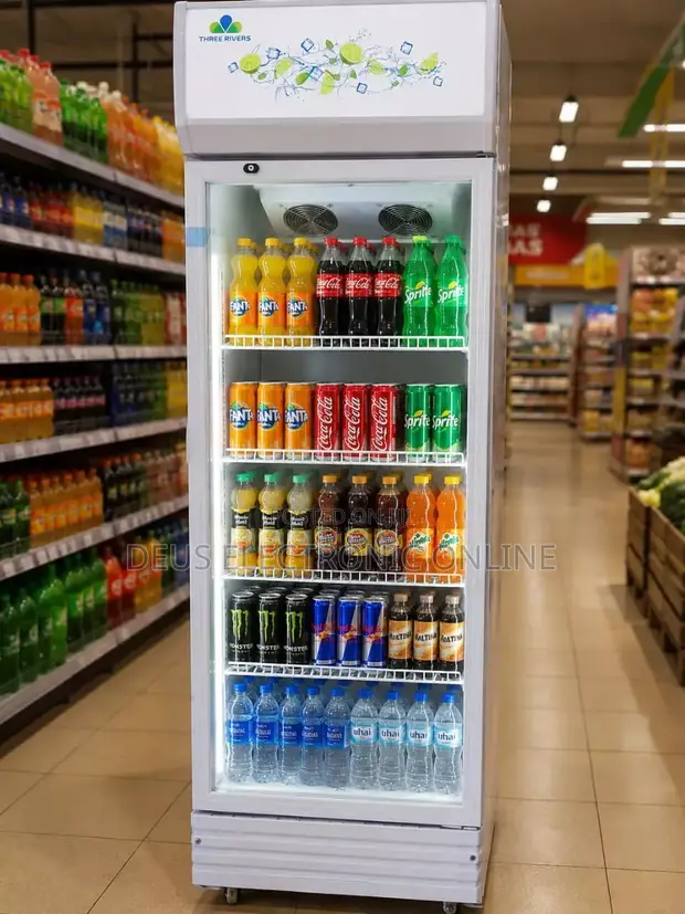 Three Rivers Showcase Single Door Refrigerator 300L - 1
