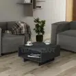 Hola Coffee Table - Sapphire Oak - 3