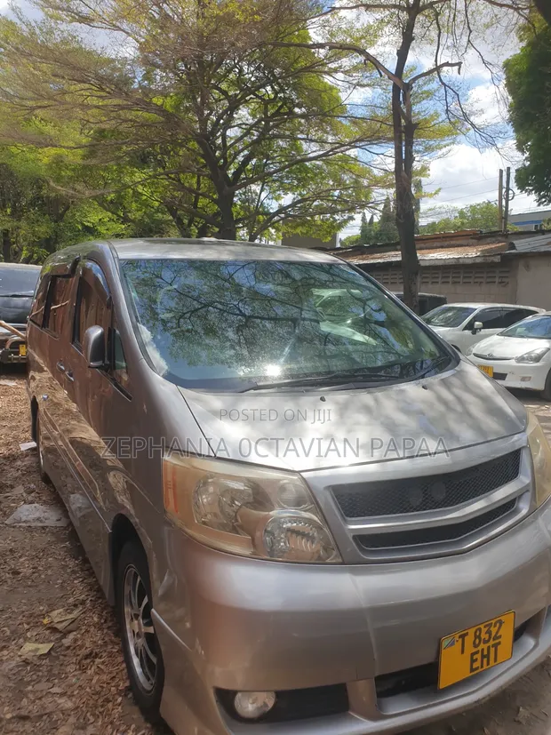Toyota Alphard 2007 Silver - 1
