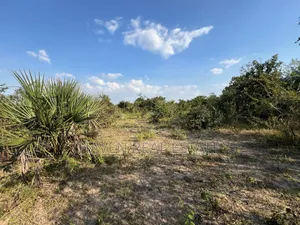 43 Acres Industrial Plot for Sale, Bagamoyo Kidomole