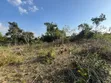43 Acres Industrial Plot for Sale, Bagamoyo Kidomole - 3