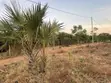 Beach Plot for Sale in Kigamboni - 2