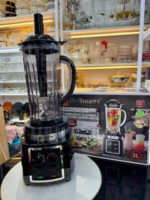 Hoffman Commercial Blender 4800W