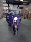New SanLG SL200ZH 2026 Green Three-Wheeler - 1