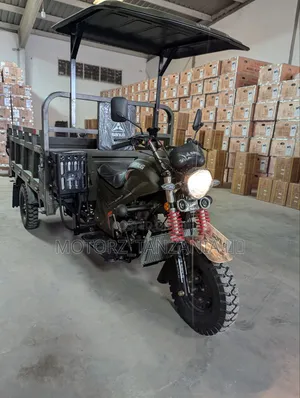 New SanLG SL200ZH 2026 Green Three-Wheeler