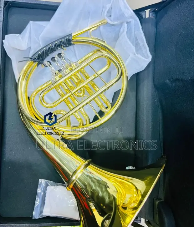 Brand New Professional French Horn - 1