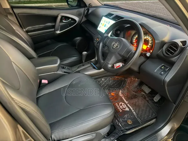 Toyota RAV4 2010 Brown - 1