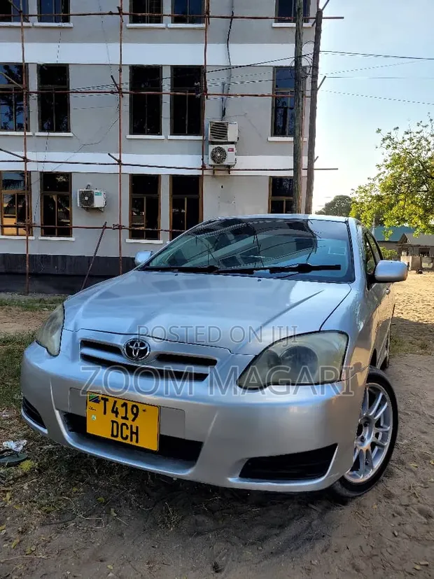 Toyota Corolla RunX 2006 Silver - 1