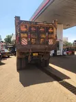 FAW CA3310 8x4 Dump Truck - Yellow - 2