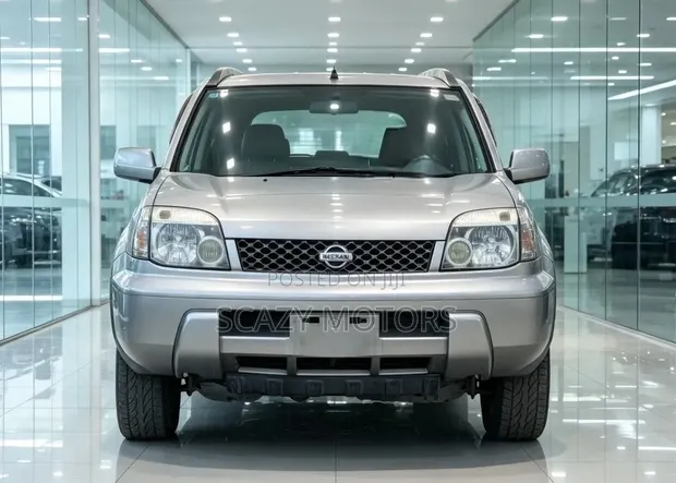 Nissan X-Trail 2002 Silver - 1