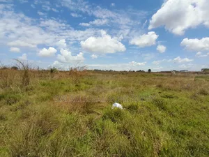 Residential Plot for Sale in Kigamboni Cheka