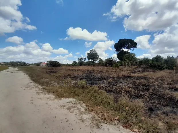 5 Hectares Land for Sale, Kisarawe 2 - 1