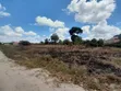 5 Hectares Land for Sale, Kisarawe 2 - 2