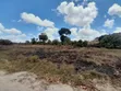 5 Hectares Land for Sale, Kisarawe 2 - 3