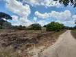5 Hectares Land for Sale, Kisarawe 2 - 4