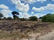 5 Hectares Land for Sale, Kisarawe 2 - 5