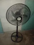 Dolphin Stand Fan - 1