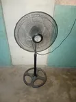 Dolphin Stand Fan - 2
