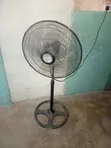 Dolphin Stand Fan - 3