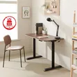 Electric Height Adjustable Standing Desk - 4