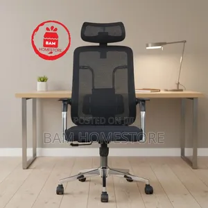 Ergonomic Office Chair 2303a with Headrest